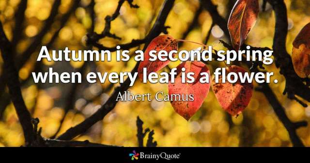 Brainy Quote 'Autumn is a second spring when every leaf is a flower' ~  Albert Camus 001 | Riswan E. Tarigan, Thinker, Motivator & Inspirator
